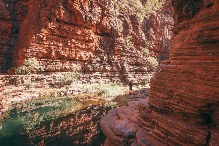 Perth to Broome 10-Day Tour via Ningaloo & Karijini