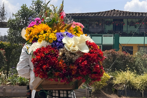 Medellín: Granja de Flores Santa Elena y Tour Silletero Privado