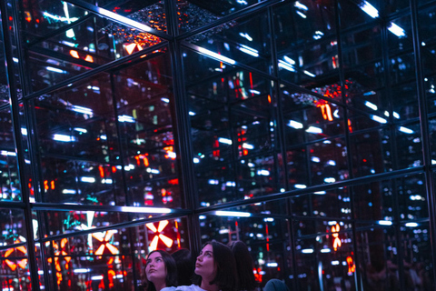 Varsovie : billet d&#039;entrée pour le musée Melt