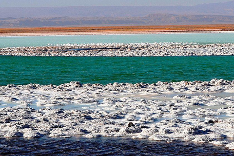 Cejar &amp; Tebenquiche Lagoons Tour with Ojos del Salar Atacama