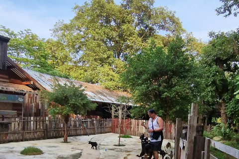 Excursión de un día en Chiang Mai I Cascada I Dantewada I Doi Suthep