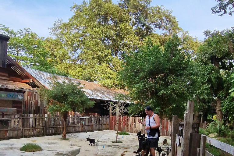 Excursión de un día en Chiang Mai I Cascada I Dantewada I Doi Suthep