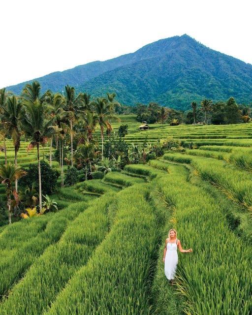 North Bali Ulun Danu Banyumala Waterfall And Jatiluwih Getyourguide