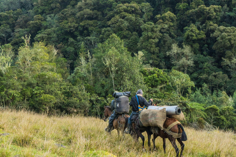 Fiji: Sabeto Valley Horseback Riding Tour