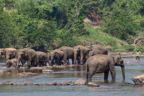 Sri Lanka:6-Day Tour of Kandy,Nuwara Eliya,Bentota &amp; Colombo