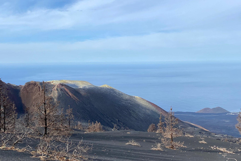 Tajogaite Volcano: the official route with a certified local guide