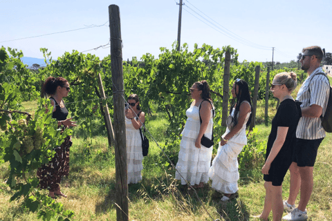 Florence & Tuscany: 5-Day Ultimate Combo Tour 5-Day Florence & Tuscany Experiences