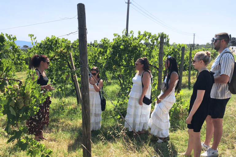 Florence & Tuscany: 5-Day Ultimate Combo Tour 5-Day Florence & Tuscany Experiences