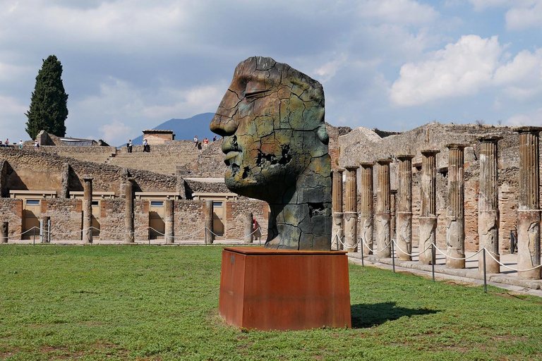 From Amalfi: Pompeii and Mount Vesuvius Winery Private Tour