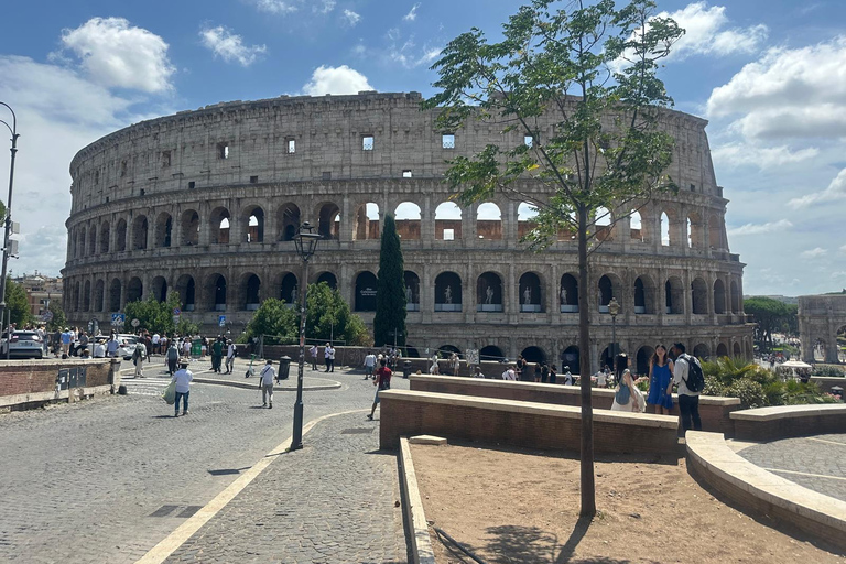 Small Group Guided Tour Colosseum Roman Forum, Palatine Hill Standard Tickets