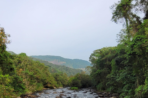 TOUR MATA ATLÂNCIA COM CACHOEIRAS - CAMINHO DO OURO