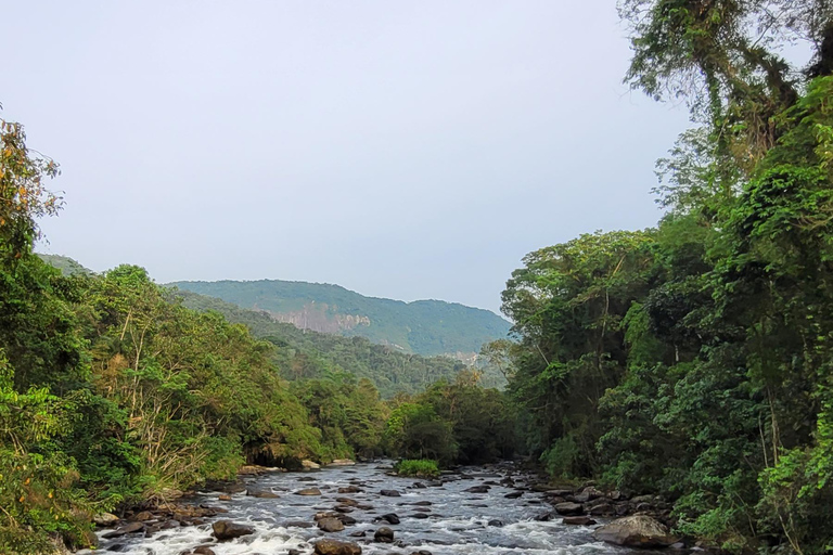 ATLANTIC FOREST TOUR WITH WATERFALLS - THE GOLD TRAIL