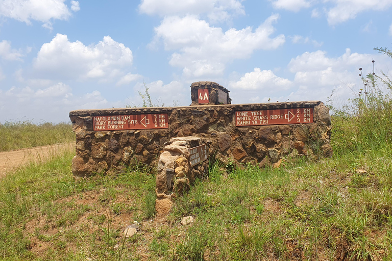 Nairobi: National Park Layover Tour mit Flughafentransfers.