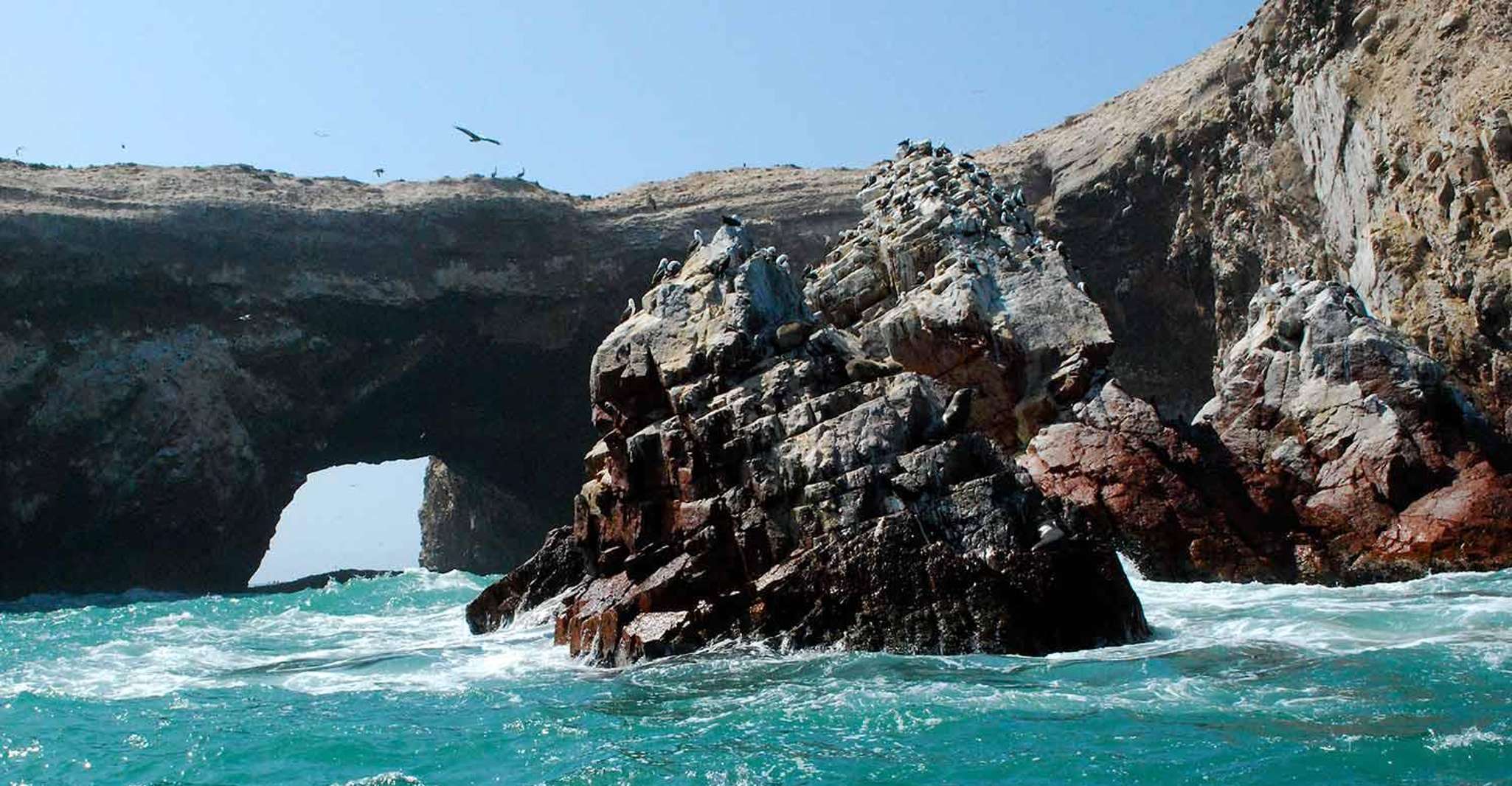 Экскурсия Las Islas Ballestas - Hizvo