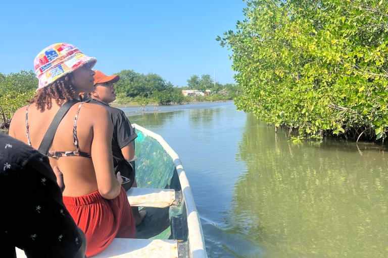 Wycieczka ekologiczna i wędkowanie w naturalnych namorzynach Cartageny
