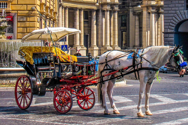 Le meilleur de Naples : Visite à pied privée avec un localVisite privée à pied de la ville - 2Hr