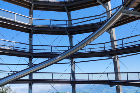 From Vienna: Hallstatt and Treetop Path Private Day Trip