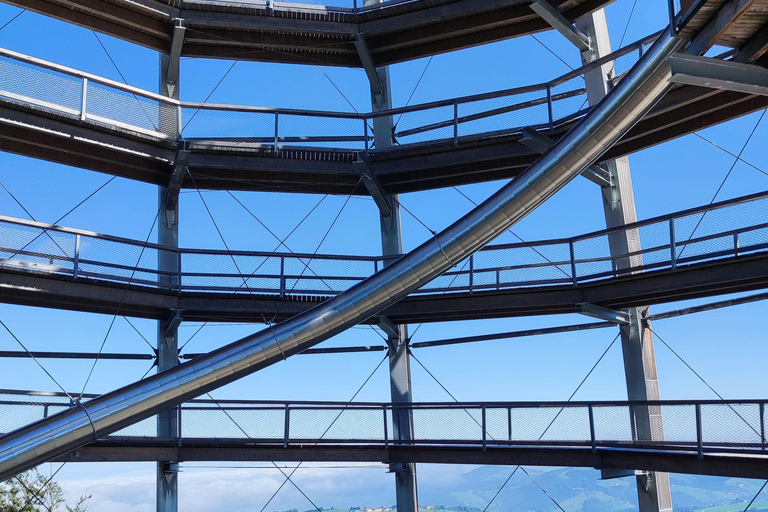 From Vienna: Hallstatt and Treetop Path Private Day Trip