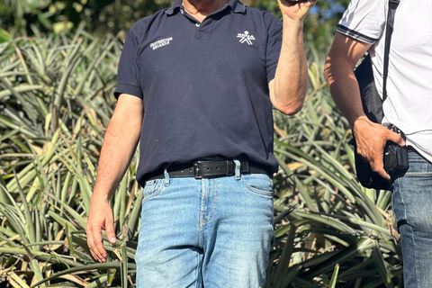 From Medellín: Pineapple Farm Experience with Tasting