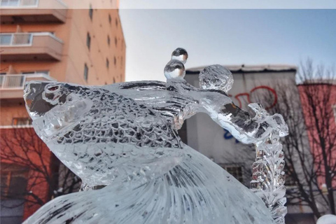 Sapporo: Heiwa-dori Ice Festival Private Day Tour No return to Sapporo