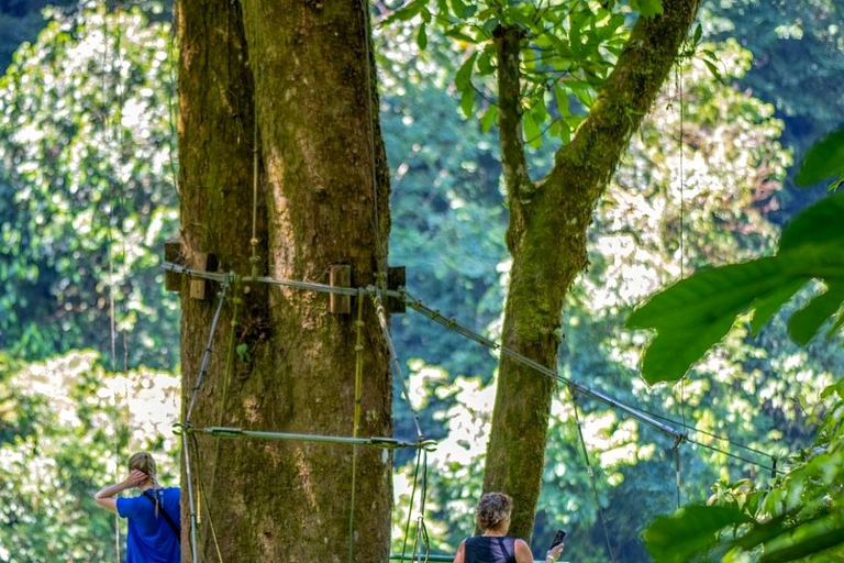 Puntarenas: Rainmaker Park Guided Tour with Lunch