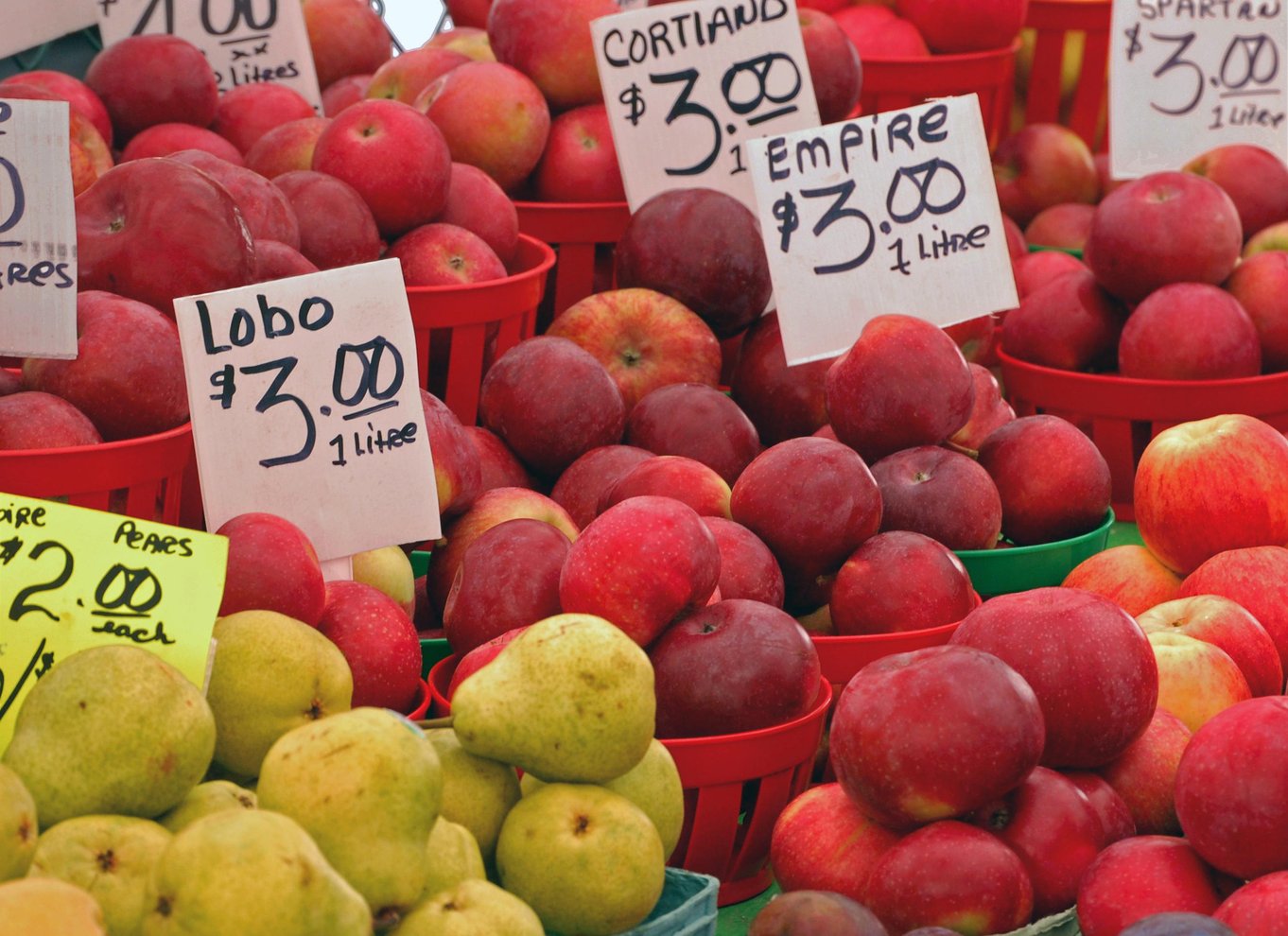 Ottawa: Madtur på ByWard Market med 7 lokale smagsprøver