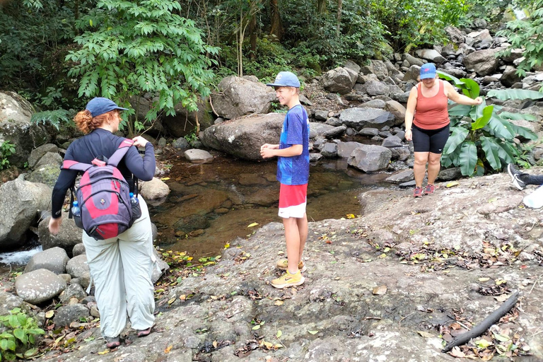 Lautoka: Abaca Waterfall Hike and Swim Day Trip