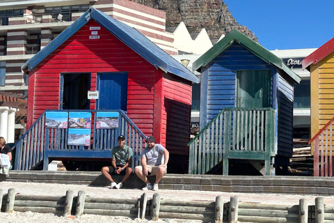 Cape Town: Ultimate Cape Peninsula Private Tour with Lunch