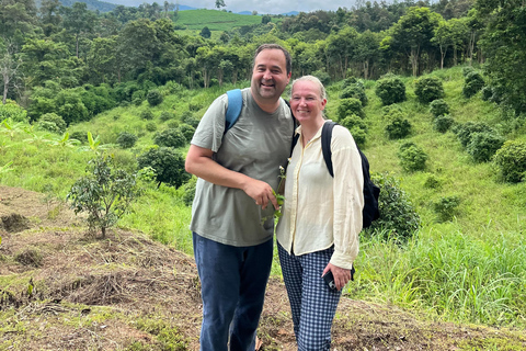 Chiang Mai: One Day Eco-Trek, Elephant care & Bamboo Rafting