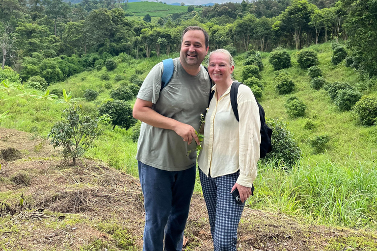 Chiang Mai: One Day Eco-Trek, Elephant care & Bamboo Rafting