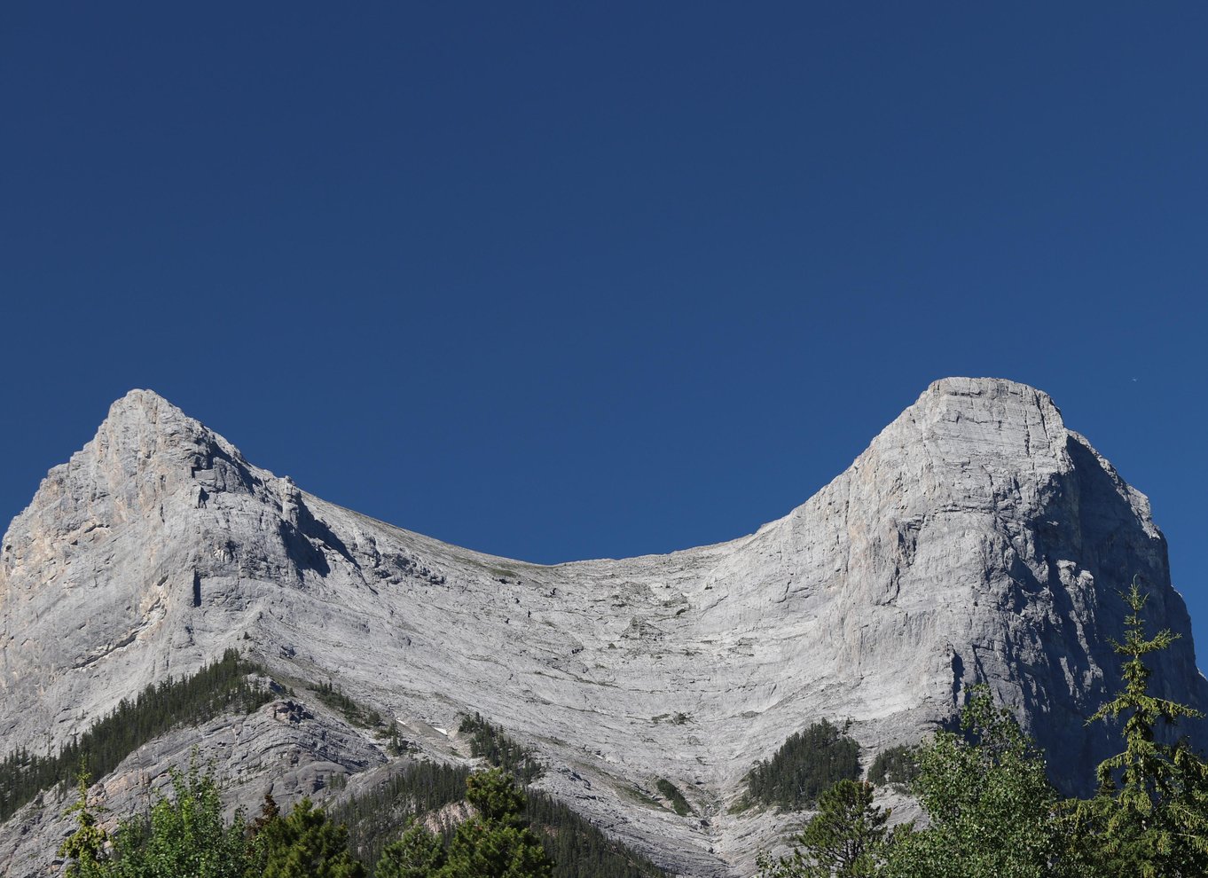 Canmore: Naturskøn turtur på Bow River