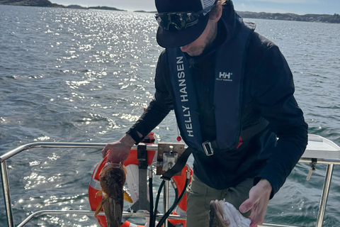 Bergen: Sea Safari with fishing and hauling of crab pots