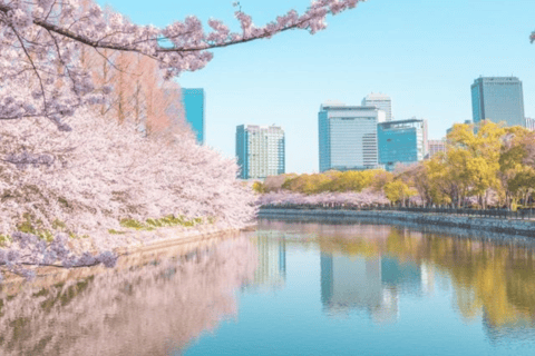 De Osaka: Excursão particular personalizável de 1 dia a Osaka, de carro