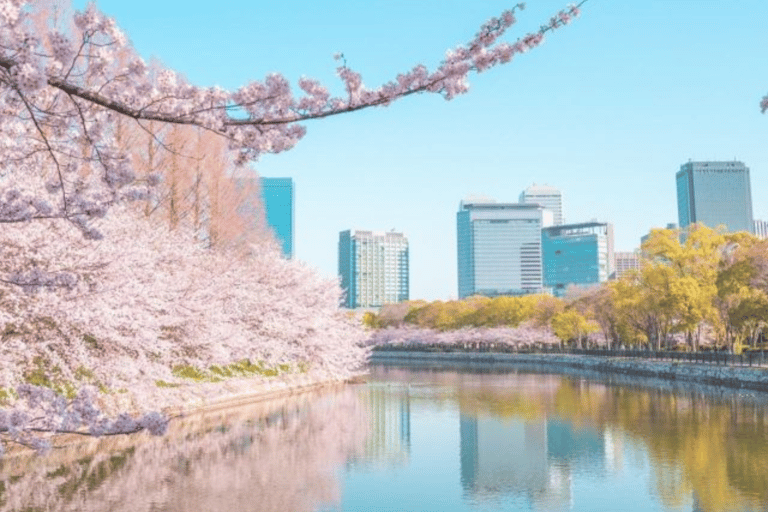 Osaka : Visite privée personnalisable avec chauffeur parlant anglais.