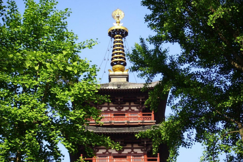 Suzhou Day Tour from Shanghai by High-Speed Train
