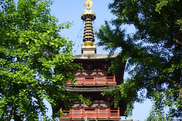 Suzhou Day Tour from Shanghai by High-Speed Train