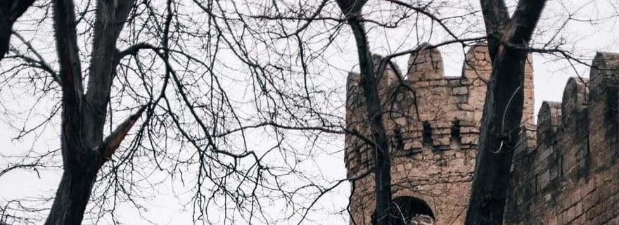 Bakou : visite à pied de la vieille ville avec concert