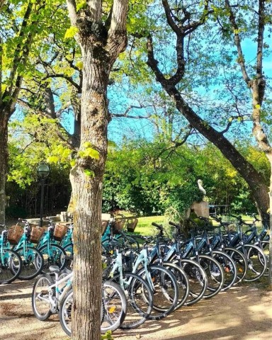 Visit Monteux Bike Rental in Uchaux