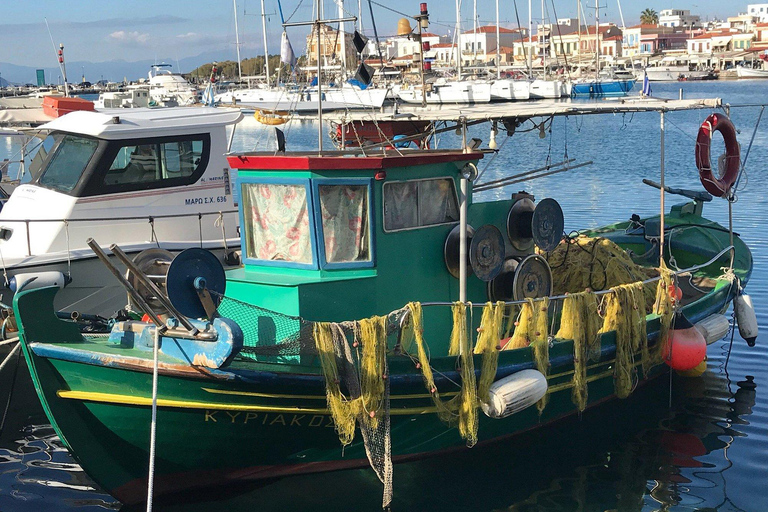 From Athens: Aegina Island Day Trip with Ferry Ride From Athens: Aegina Island Day Trip Without Ferry Tickets