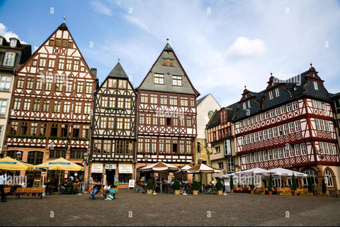 Frankfurt: Guided Walking Tour with Local Guide