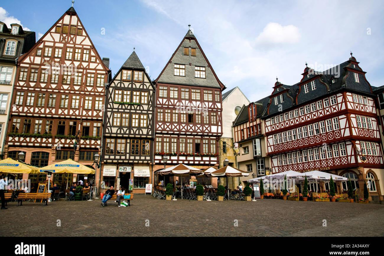 Frankfurt: Guided Walking Tour with Local Guide