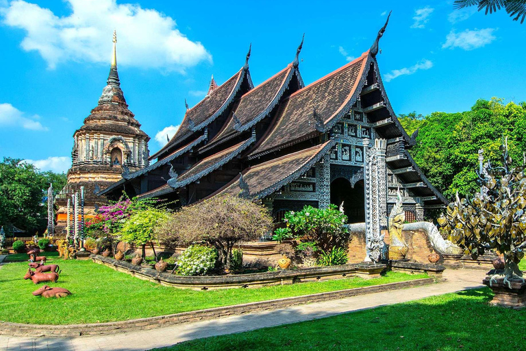 Chiang Mai: Tuk-Tuk City Tour