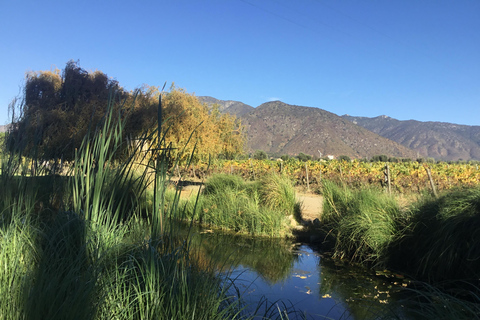 Vineyard, Valparaiso, Horseback Riding, Sea L &amp; BBQ Day Trip