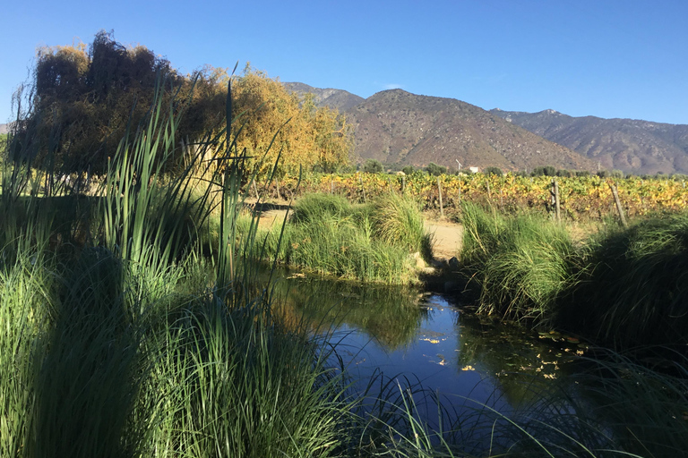 Vineyard, Valparaiso, Horseback Riding, Sea L &amp; BBQ Day Trip