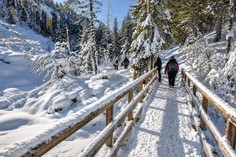 Rovaniemi: Korouoma Canyon & Frozen Waterfalls Tour ⭐ Korouoma Premium | 7h | Small Group | BBQ & Photos