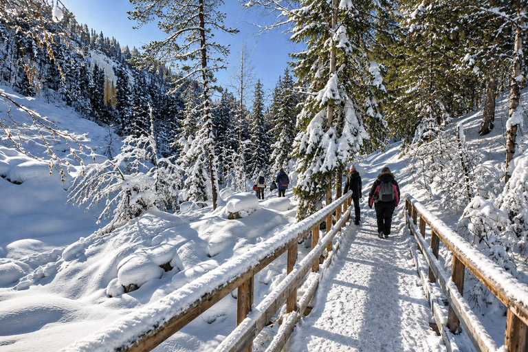 Rovaniemi: Korouoma Canyon & Frozen Waterfalls Tour ⭐ Korouoma Premium | 7h | Small Group | BBQ & Photos