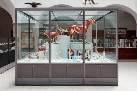 ETH Zurich Tour: Under the Skin