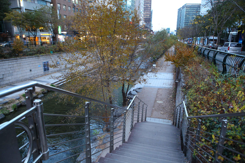 Seúl: tour gastronómico por el mercado de Dongmyo y Gwangjang