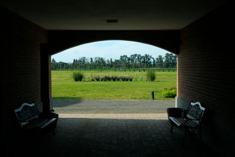 Horses, Asado & Nature. A day at a thoroughbred farm