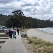 Hobart, Bush and Beach Escape - 2 Hour Small Group Tour